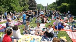 Pic nic